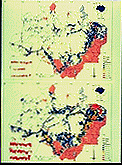 distribution of deforestation in the Amazon Basin for 1978
(top) and 1988 (bottom)