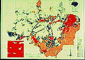 shows where biological diversity
was adversely affected in 1988 by deforestation, isolation
of forest, and the 1-km edge effect from adjacent areas of
deforestation