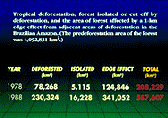 numerical results of the analysis