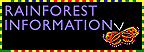 Rainforest Information