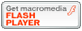 Install Flash Player