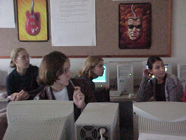 participants.JPG (66927 bytes)