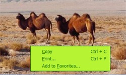 copy image 1