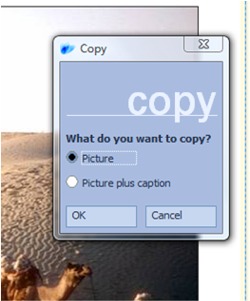 image copy 2