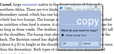 Copy article 2