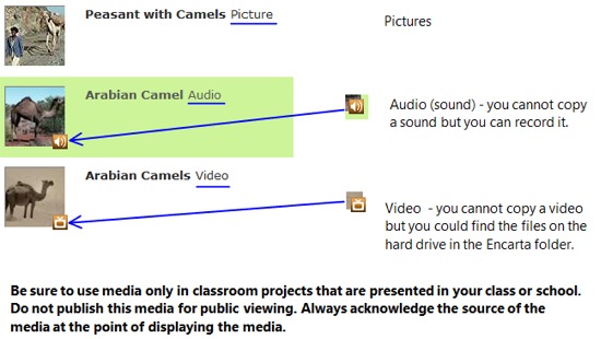 Encarta Premium Mulitmedia