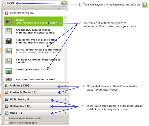 Encarta Premium Search