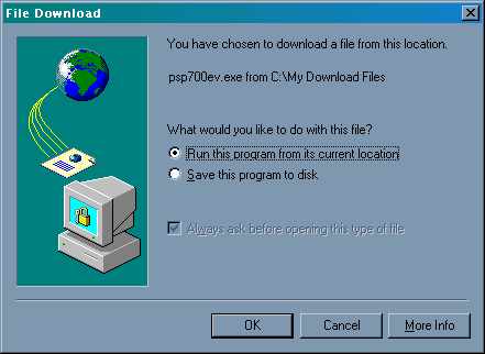 psp0.jpg (17458 bytes)