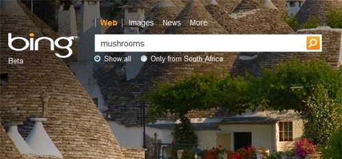 Bing_mushroom