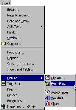 inspic.jpg (12774 bytes)