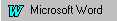 wordicon.jpg (1250 bytes)