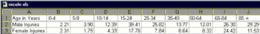 snicole3.gif (3726 bytes)