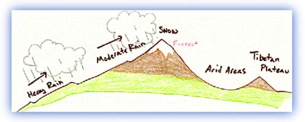 The rainshadow effect. Credit: Mahabir Pun