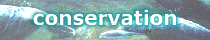 Conservation Page