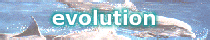 Evolution Page