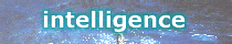 Intelligence & language
