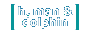 Human and Dolphin