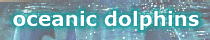 Oceanic Dolphins Page