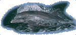 Propulsion