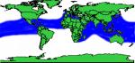 Distribution Map of the Rough-Toothed Dolphin