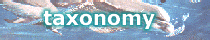 Taxonomy Page