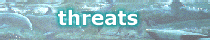 Threats Page