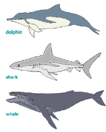 Diagram 5