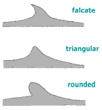 Diagram 6