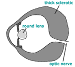 Diagram 10
