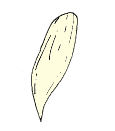 Diagram 13