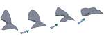 Diagram 19