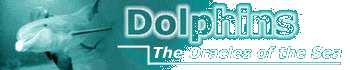 Dolphins - The Oracles of the Sea