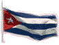cu_flag