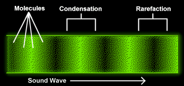 The molecules form a pattern of alternating condensations and rarefactions
