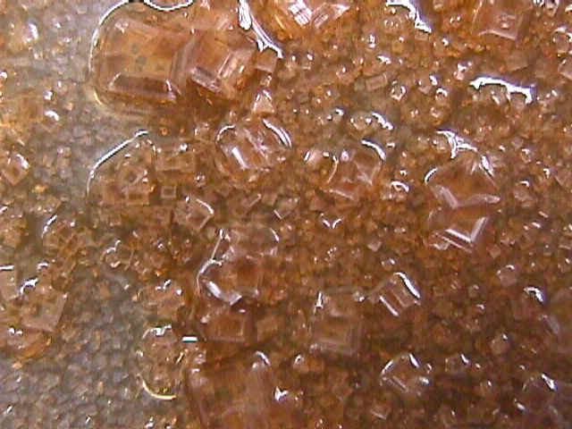 petri2