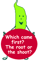 Which came first?  The root or the shoot?
