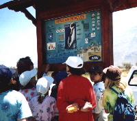 Grade 5 at Betty's Bay