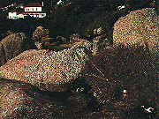 Boulders