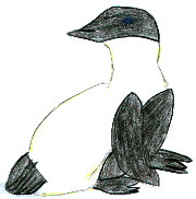 Drawing of an adult penguin