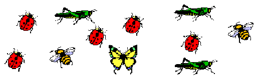 Garden.gif (3200 bytes)